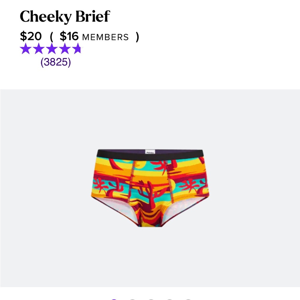 MeUndies Desert Sun Hipster Panties